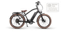 Cruiser 2.0 CPO E-Bike, Commuting and Urban Riding